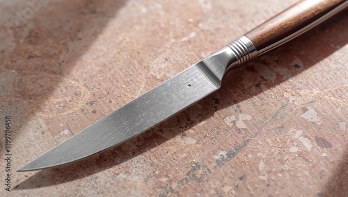 Sharp Kitchen Knife Rests on a Textured Countertop During Daylight Hours