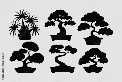 Silhouettes of stylized bonsai trees and a tropical plant in minimalist black and white design isolated on white background, Vector, illustration