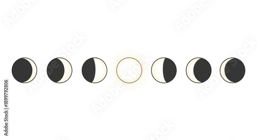Phases of the Moon A Celestial Cycle Illustration