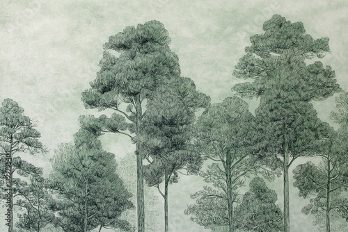 pencil drawing of forest trees, fine line work, subtle green tint background, natural calm tone