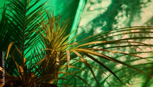 Green Plants in Sunlight Near a Large Green Backdrop During Daytime