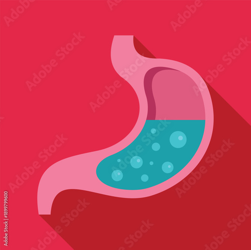 Stomach organ illustrating acid reflux and digestion process