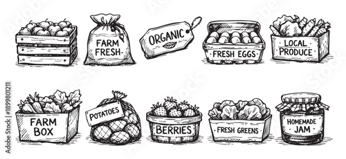 A hand-drawn illustration featuring farm fresh goods including apples, potatoes, eggs, greens, berries, jam, carrots, and lettuce, perfect for food branding.