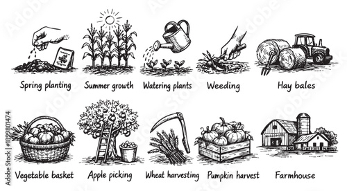 Hand-drawn illustrations depicting farm life, showing planting, watering, harvesting, and farm buildings. Ideal for educational materials, nature guides, or rural themed designs.