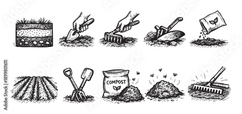 This image showcases a series of hand-drawn illustrations depicting the steps of gardening, suitable for educational materials, blog posts, or website graphics related to gardening and horticulture.