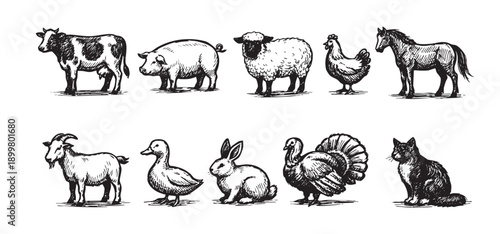 Hand-drawn sketch illustration set of various farm animals, including a cow, pig, sheep, horse, and more. Perfect for agricultural, educational, or design-related projects.