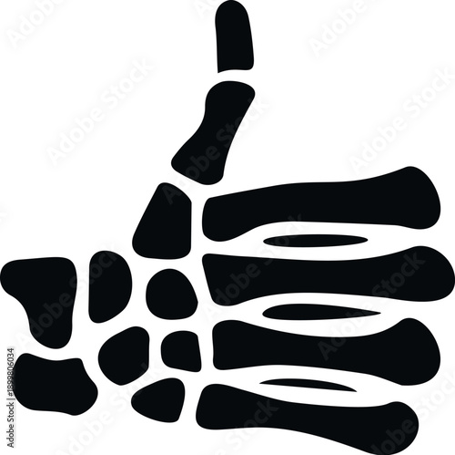 Human skeletal hand bones displaying a positive agreement symbol on a white background