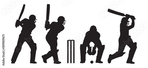 Cricket players batting wicket keeping and fielding silhouettes in action poses white background vector