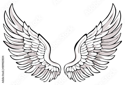 Pair of spread angelic or eagle wings in a graphic, detailed illustration style