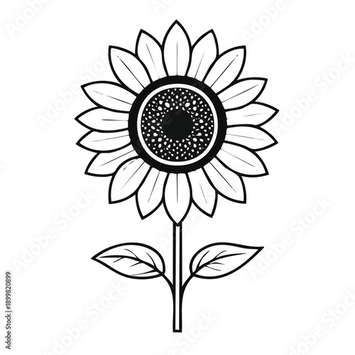 Black and white illustration of a sunflower with a clock face
