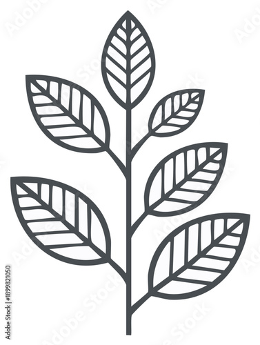 Stylized Line Art of a Plant Stem with Multiple Leaves