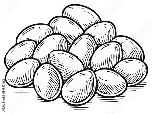 Line art illustration of a pile of smooth oval objects with textured details.