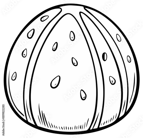 Cartoon line drawing of a smooth sea urchin shell, marine life illustration