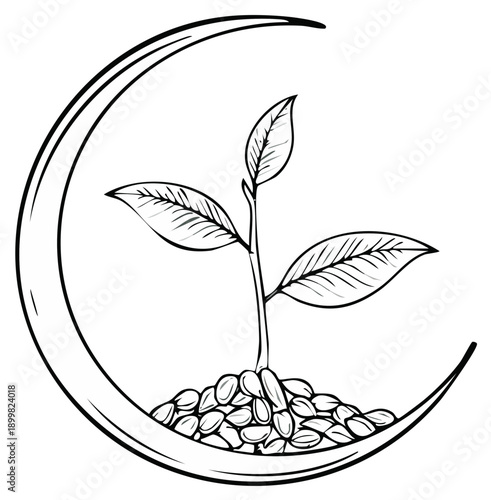 Hand drawn illustration of a small plant growing from fertile seeds nestled in a symbolic crescent moon outline