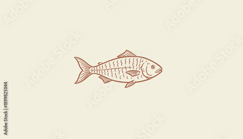 Vector salmon fish skeleton illustration, pinkish brown color, for biology or food related projects, Isolated on transparent background, png