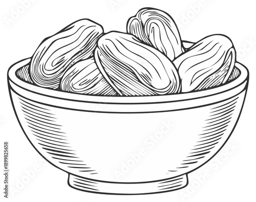 Freshly Harvested Dates in a Ceramic Bowl Vintage Line Art Illustration