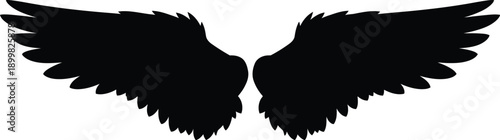 Black silhouette of angel wings on white background