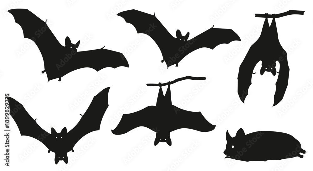 Obraz premium Vector silhouette illustrations of bats in various poses, flying with wings spread, hanging upside down, and resting.