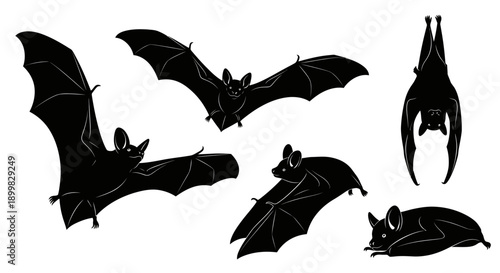 Vector silhouette illustrations of bats in various poses, flying with wings spread, hanging upside down, and resting.