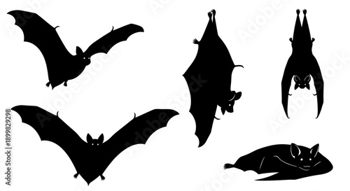 Vector silhouette illustrations of bats in various poses, flying with wings spread, hanging upside down, and resting.
