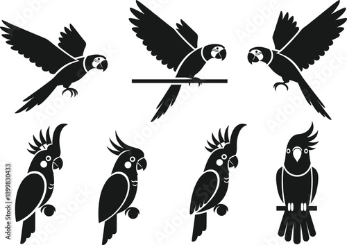 Black cockatoo bird silhouettes set featuring exotic tropical parrots in various flying sitting and perched poses for creative vector design.