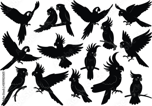 Black cockatoo bird silhouettes set featuring exotic tropical parrots in flying sitting and perched poses for creative vector design.
