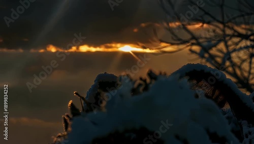 Golden Hour Sunbeams Pierce Snowy Landscape with Bare Tree Branches and Lens Flare