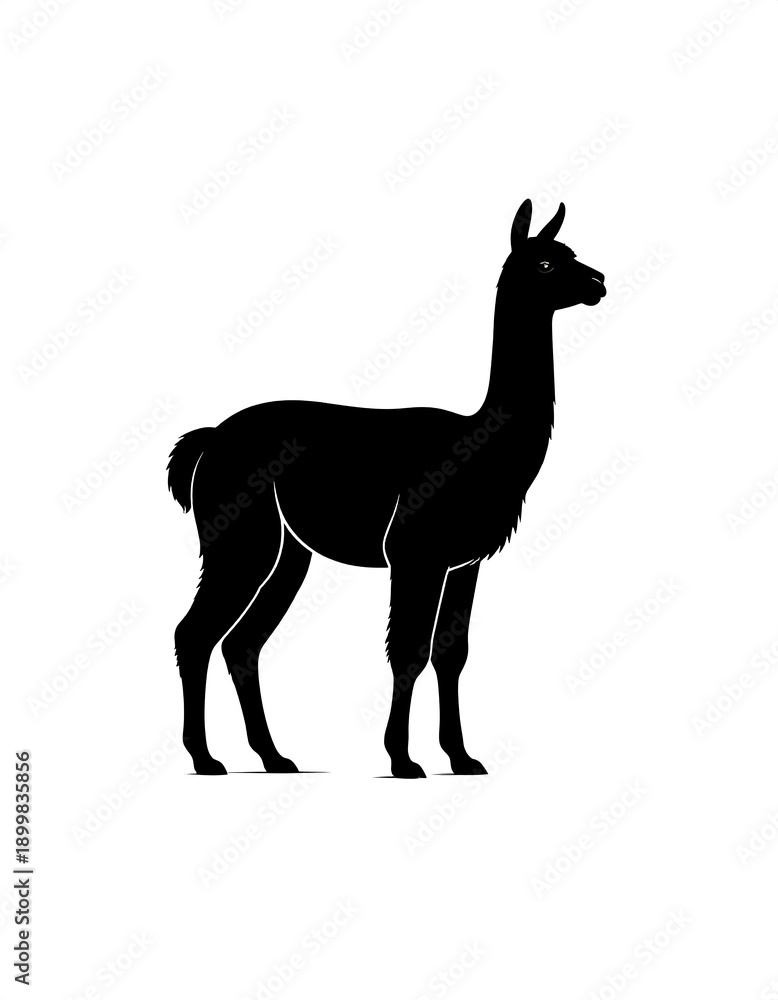 Fototapeta premium Silhouette of a black llama on a white background, animal artwork