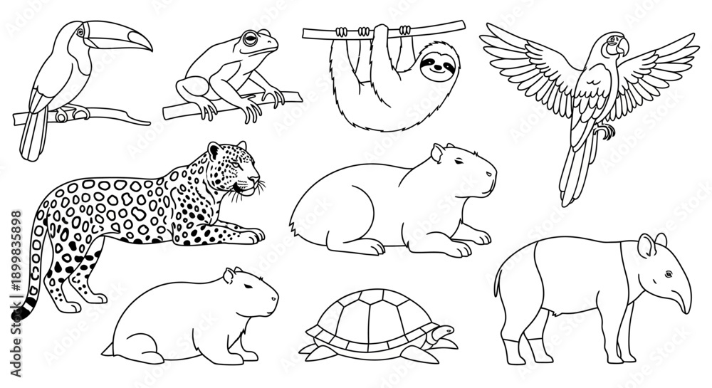 Fototapeta premium Collection of South American animals in outline style
