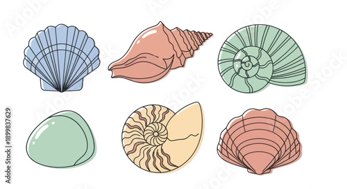 Collection of colorful sea shells in a flat design.