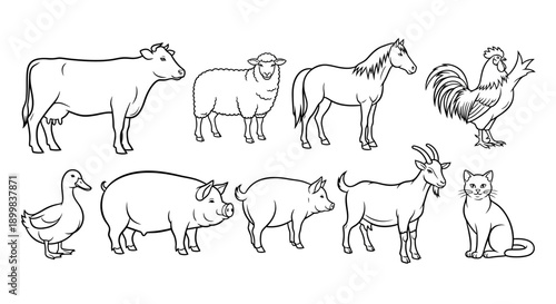Line art collection of various farm animals.