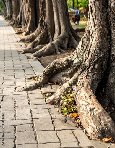 Tree roots intrude on a tiled sidewalk, bordering a park with people in background