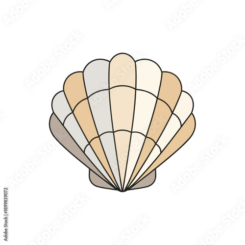 Stylized illustration of a colorful seashell on a white background.