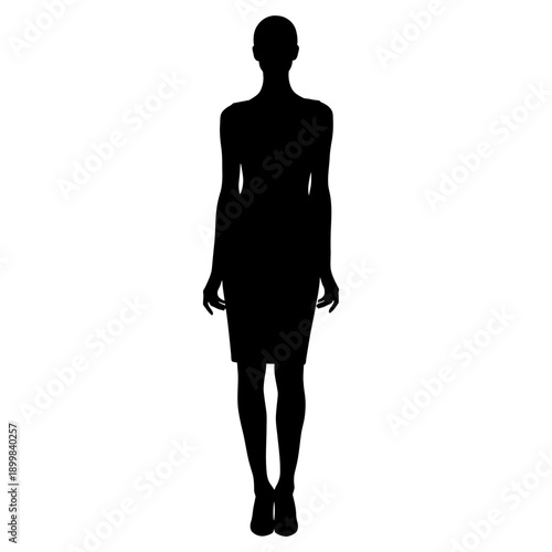 Elegant Silhouette of a Woman in a Stylish Dress, Isolated on White.
