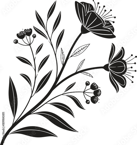 Decorative floral silhouette vector illustration on white background isolate white background