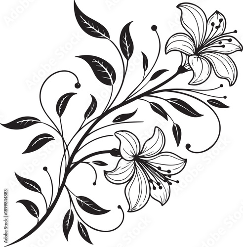 Graceful lily flower silhouette vector drawing on white background isolate white background