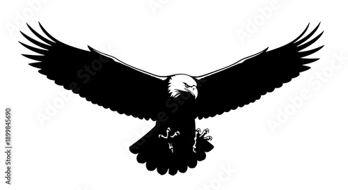 Majestic eagle soaring with outstretched wings against a white backdrop.