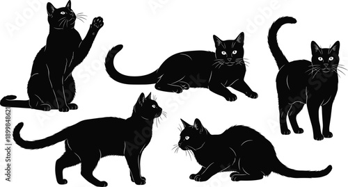 Black cat silhouette set showing playful feline poses, sitting, walking and stretching, cute pet illustration isolated on white background for design and decoration use