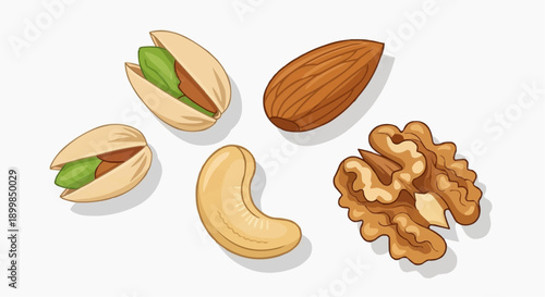Assorted nuts including pistachios, almonds, cashews, and walnuts displayed together in a graphic illustration.
