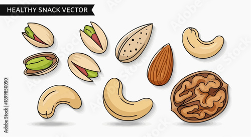 Assorted nuts and seeds arranged in a vector illustration on a plain background from a top view