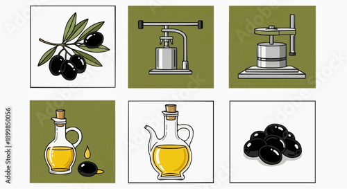 Illustration of olive oil production process showcasing olives, crusher, press, and bottles from various viewpoints