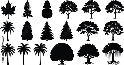 Comprehensive collection of black tree silhouettes featuring tropical palm trees evergreen pines maple and deciduous varieties isolated on white background for nature landscape graphic design.