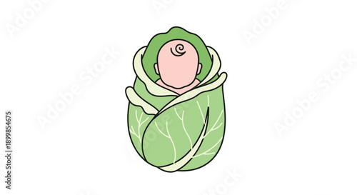 A whimsical illustration of a baby wrapped in a cabbage leaf