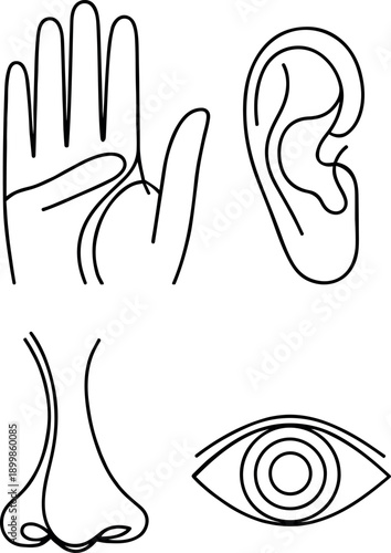 Minimal Line Icons Representing the Five Human Sensory Perceptions