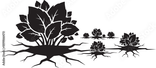 Growth and Development of a Plant from Seed Silhouette