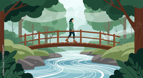 Serene forest bridge over a winding stream with lush greenery