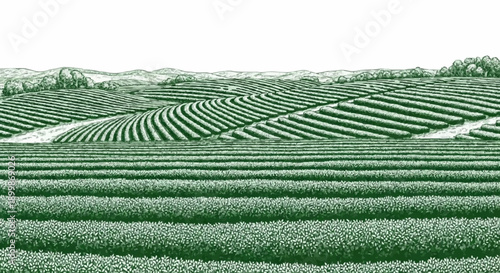 Porcelain design depicting a neatly arranged tea garden with dark green colour