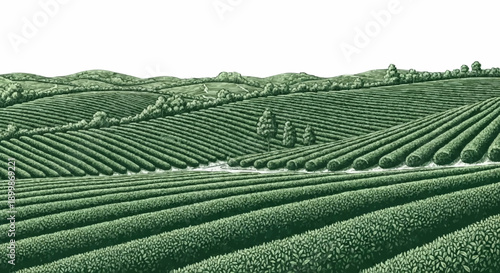 Porcelain design depicting a neatly arranged tea garden with dark green colour