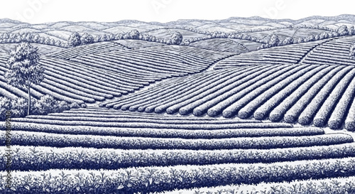 Porcelain design depicting a neatly arranged tea garden with dark blue colour