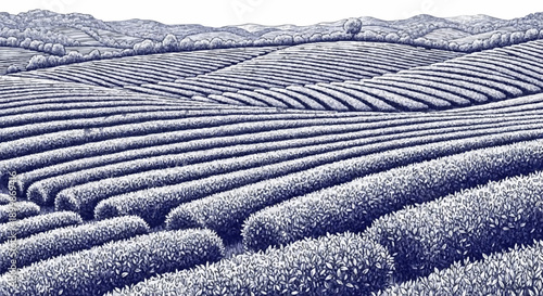 Porcelain design depicting a neatly arranged tea garden with dark blue colour